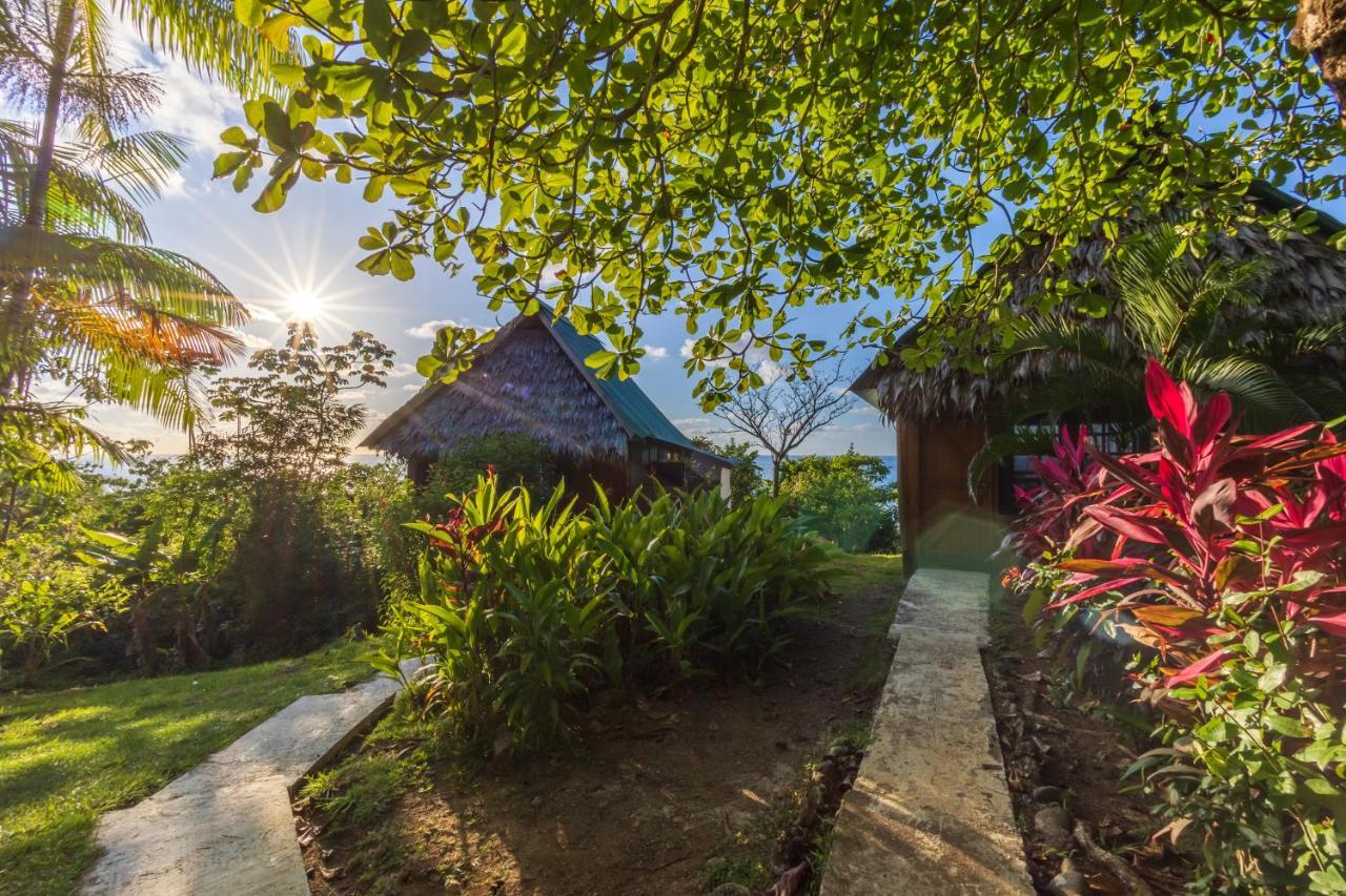 Punta Marenco Lodge Drake Bay Luaran gambar