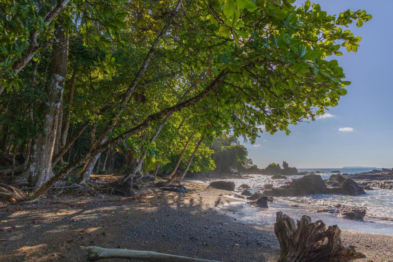 Punta Marenco Lodge Drake Bay Luaran gambar