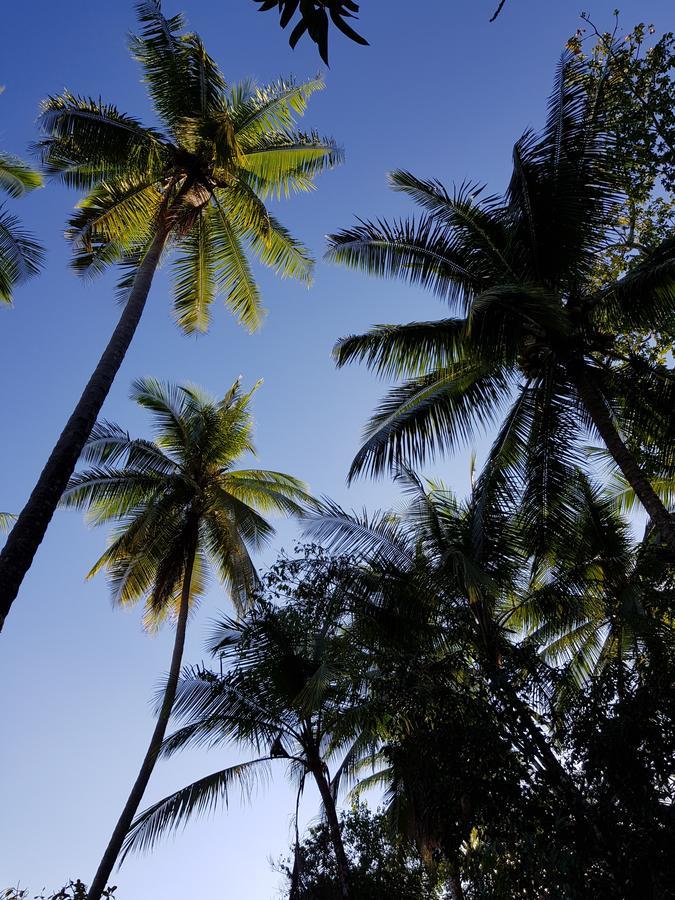 Punta Marenco Lodge Drake Bay Luaran gambar