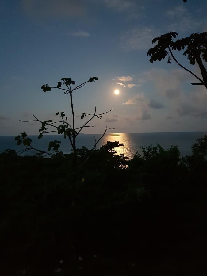 Punta Marenco Lodge Drake Bay Luaran gambar